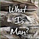 Click here to read