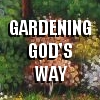 Click here to read
